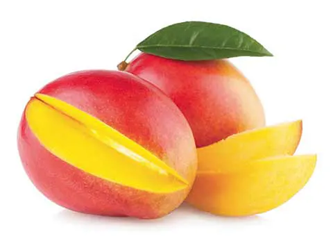 Marielita mango